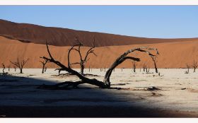 deadvlei